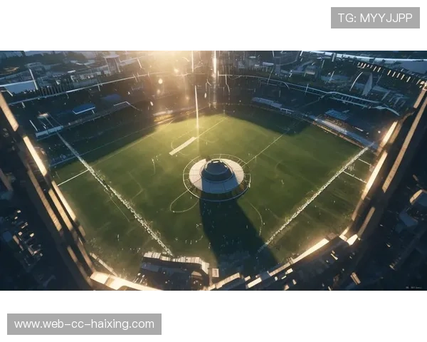 足球巨星风云录：从绿茵场到全球偶像的成长与挑战